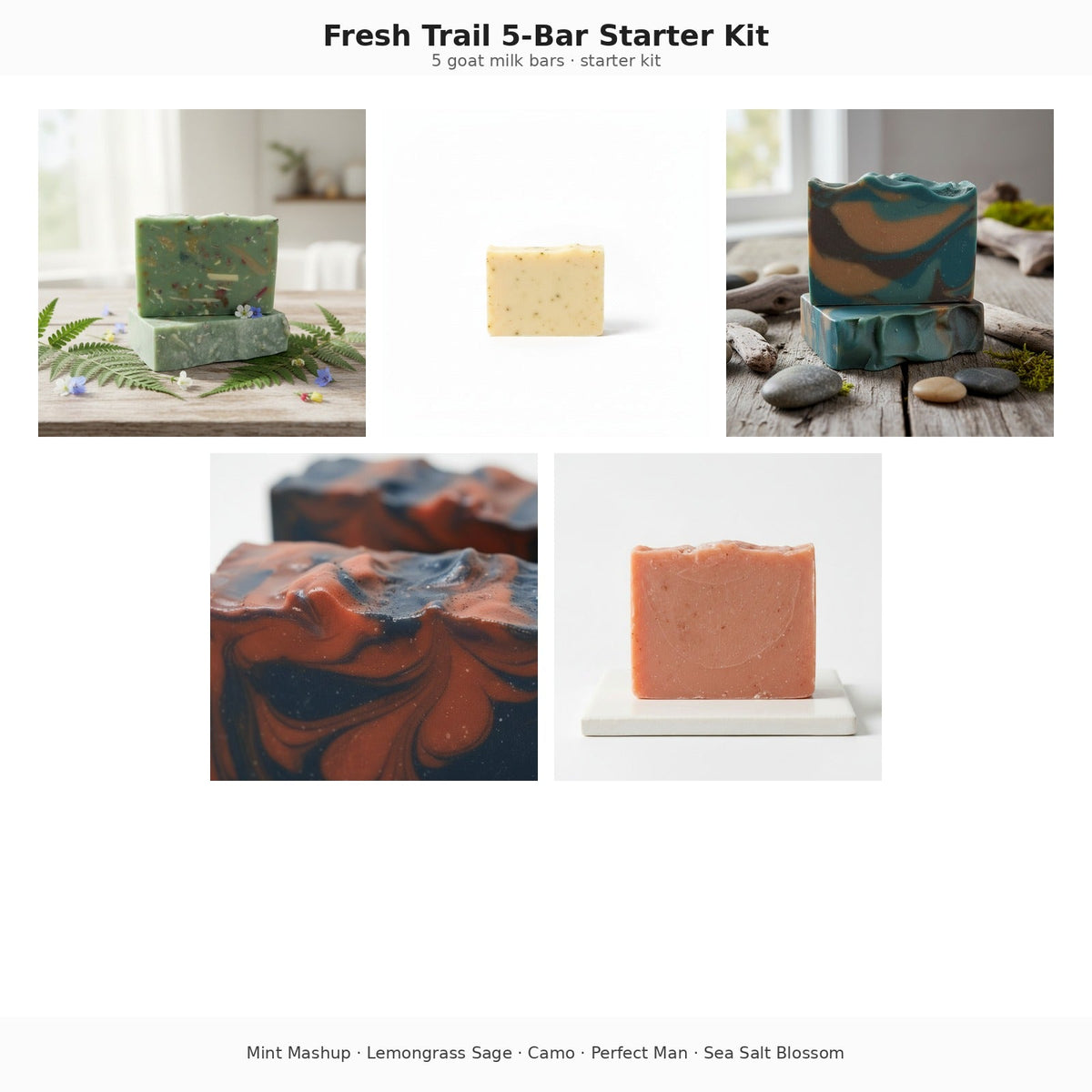 Fresh Trail 5-Bar Starter Kit Aura & Wellness