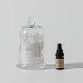 Snow Whisper Gemstone Diffuser [lemon/jasmine] Palmoire Home Fragrance